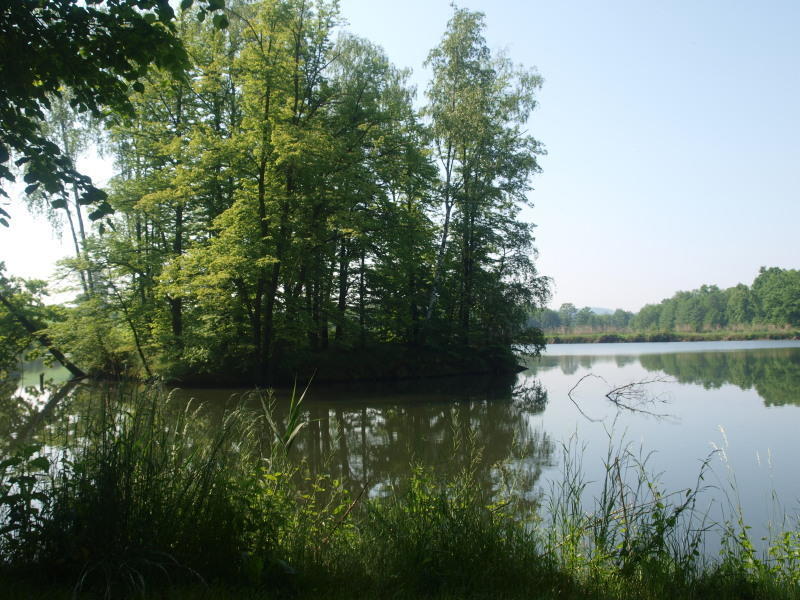 Dwor Debowiec I Exterior foto